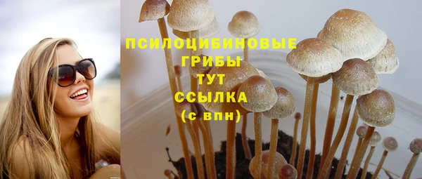 ALPHA-PVP Баксан