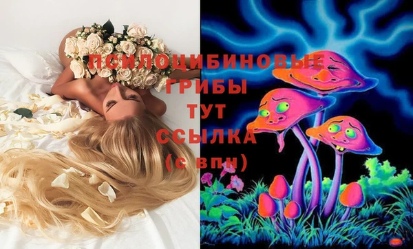 Альфа ПВП Белоозёрский