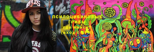 ПСИЛОЦИБИНОВЫЕ ГРИБЫ Балахна