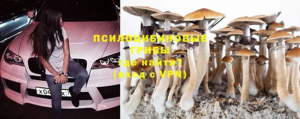ПСИЛОЦИБИНОВЫЕ ГРИБЫ Балахна