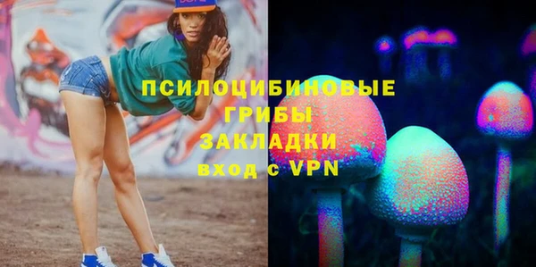 ПСИЛОЦИБИНОВЫЕ ГРИБЫ Балахна