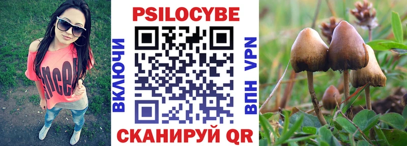 Псилоцибиновые грибы GOLDEN TEACHER  Дигора 